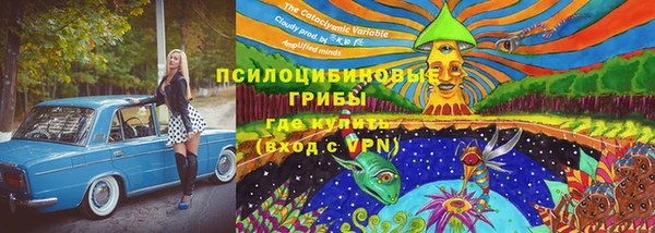 прущая мука Кинешма